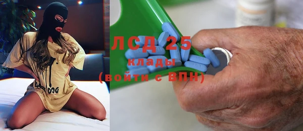 индика Балабаново