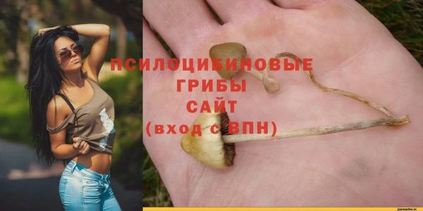 индика Балабаново