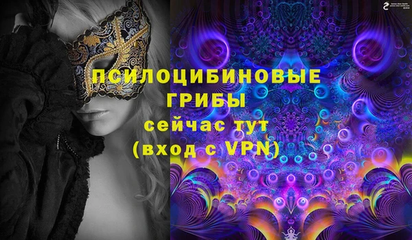 индика Балабаново