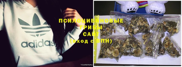 стафф Балахна